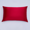 100% Mulberry Silk Pillowcase | 22 momme | Queen Size