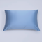 100% Mulberry Silk Pillowcase | 22 momme | Queen Size